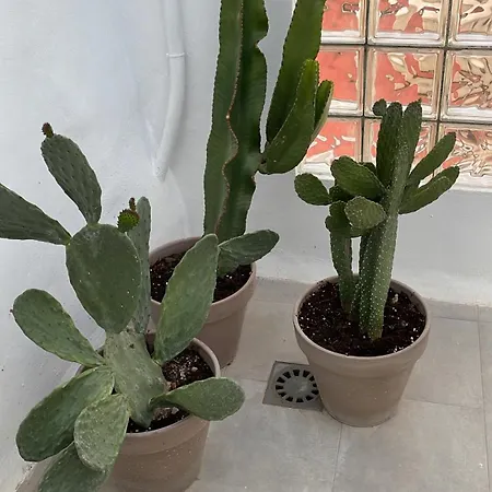 Casa Florinda Tarifa