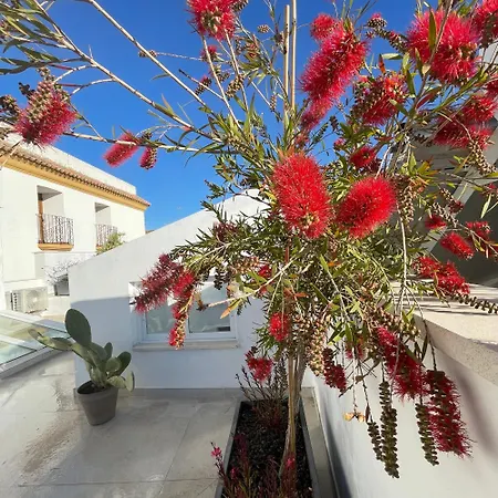 Casa Florinda Appartamento *