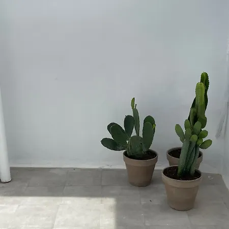 Casa Florinda Tarifa